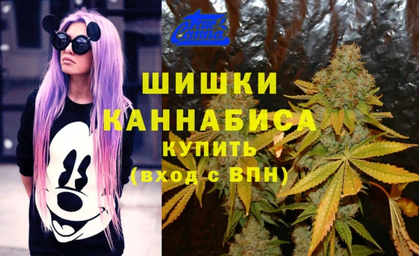 СК Куйбышев